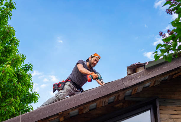 Best Sheet Metal Roofing  in Dunnavant, AL